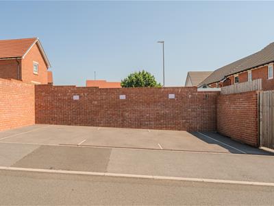 Picture 19